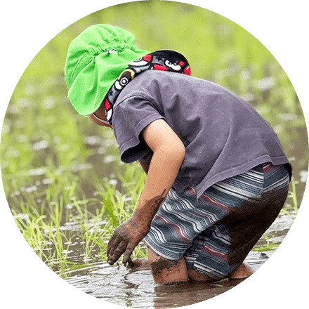 畑でしゃがみ込み、草を抜いたり土をいじったりする園児の様子